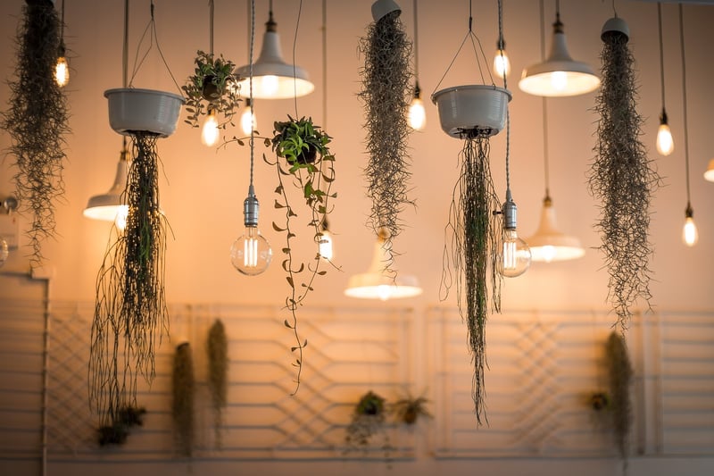 Enchanted Lighting Designs